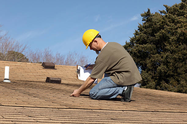 Best Sheet Metal Roofing  in Spring City, TN