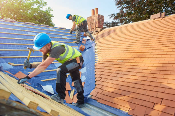 Best Skylight Installation and Repair  in Spring City, TN